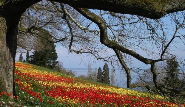 Bodensee Bodensee