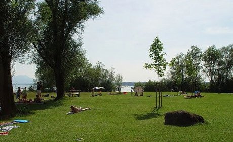 Liegewiese des Strandbades Seebruck am Chiemsee Chiemsee