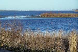 Fotos vom Veluwemeer