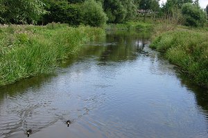 Fotos vom Odense