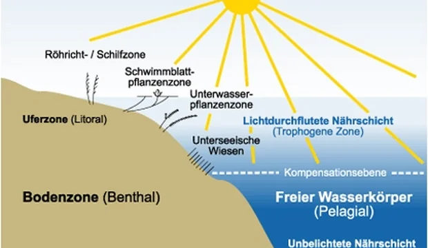 Lebensraum See