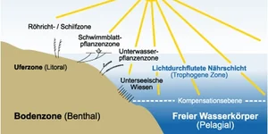 Lebensraum See