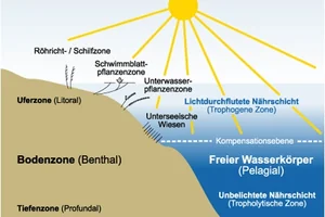 Lebensraum See