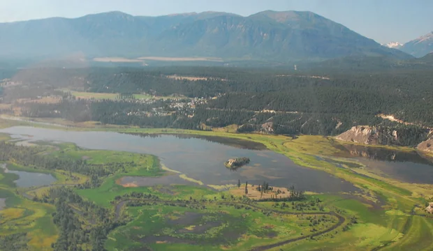 Columbia River Wetlands