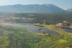 Columbia River Wetlands