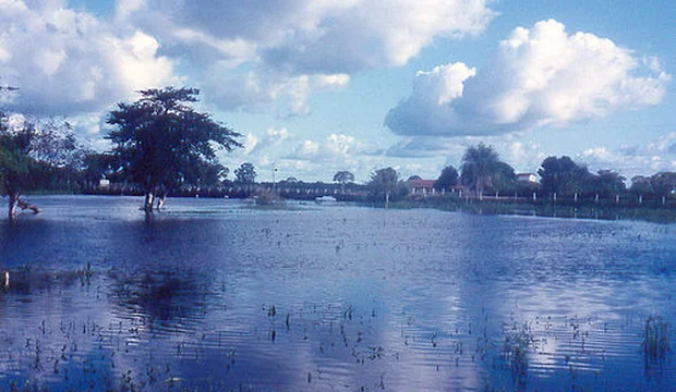 Pantanal Pantanal