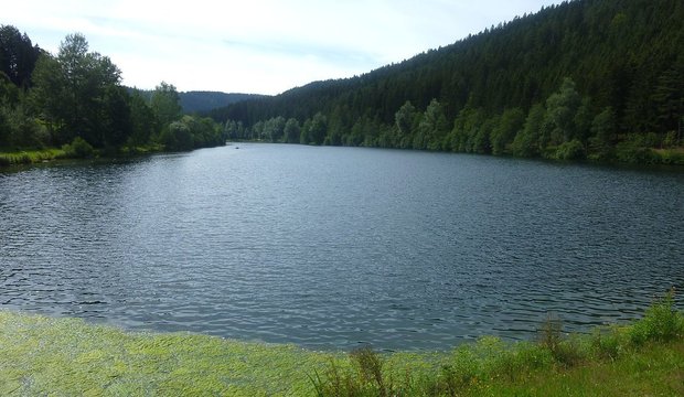 Nagoldtalsperre Nagoldtalsperre