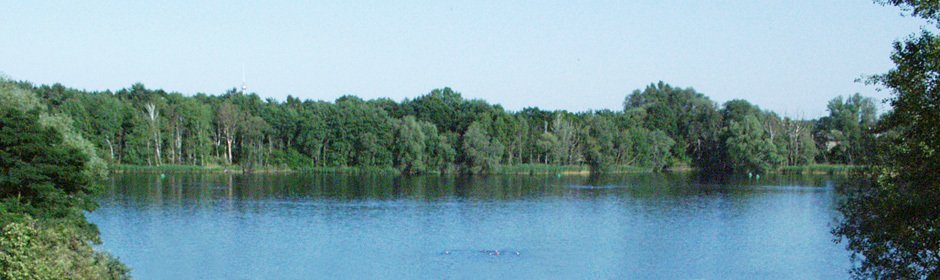 Flughafensee Headmotiv