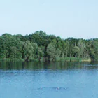 Flughafensee