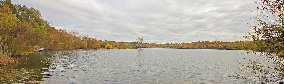 Höhenfelder See Headmotiv