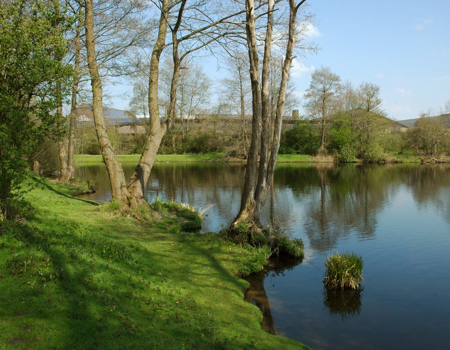 Fotos vom Breyeller See