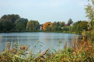 Fotos vom Windmühlenbruch