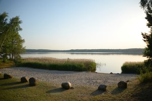 Fotos vom Grünewalder Lauch