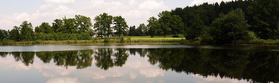 Riedener Weiher Headmotiv