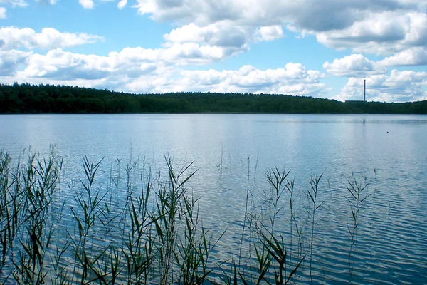 Fotos vom Groer Stechlinsee