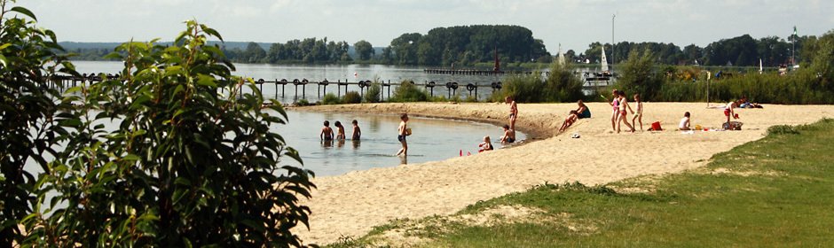 Dümmersee für Familien Headmotiv