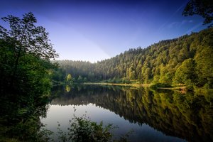 Fotos vom Nonnenmattweiher