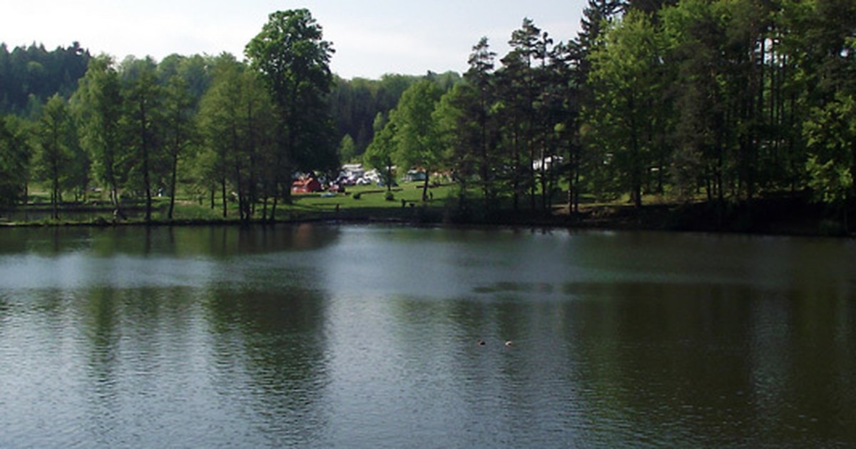 Fakten vom Schönsee | Seen.de