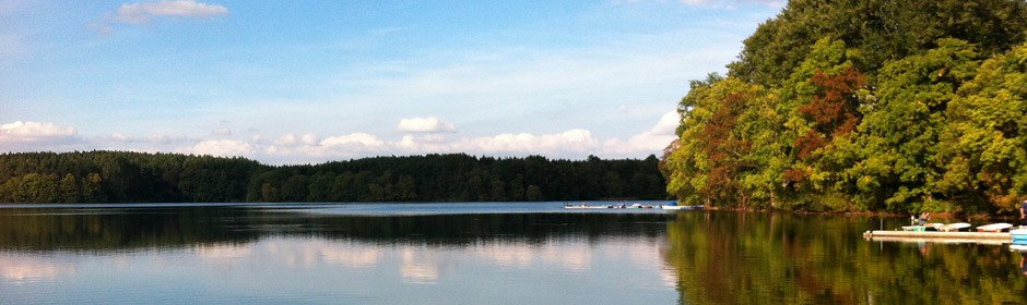 Dreetzsee Headmotiv