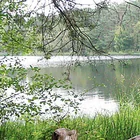 Großer Bullensee