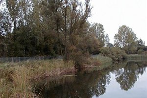 Fotos vom Silbersee