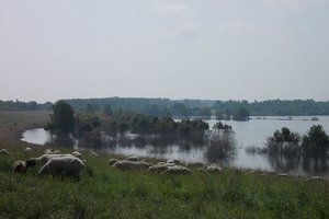 Fotos vom Speicherbecken Borna