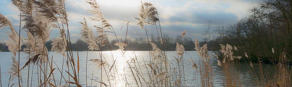 Krimpelsee Headmotiv