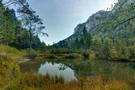 Umgebung am Falkensee