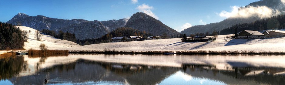 Froschsee Headmotiv