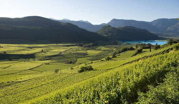 Landschaft am Kalterer See Kalterer See