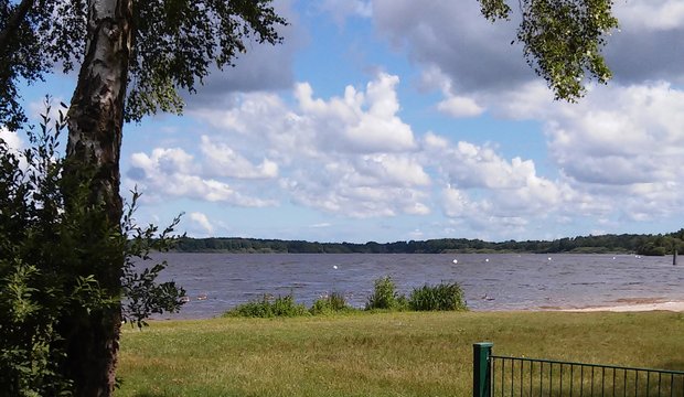 Einfelder See - Seeblick Einfelder See