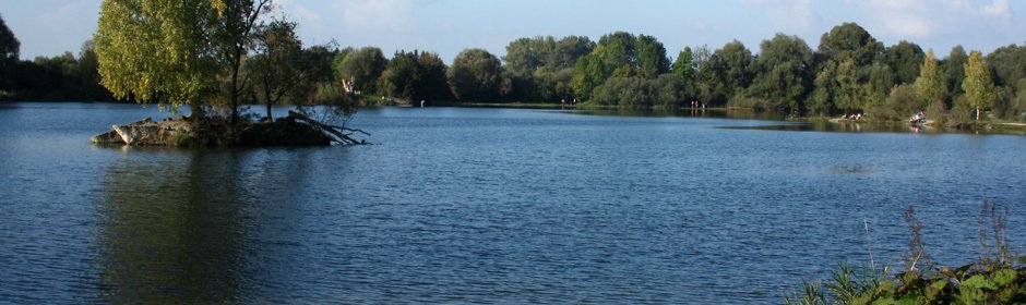 Böhmerweiher Headmotiv