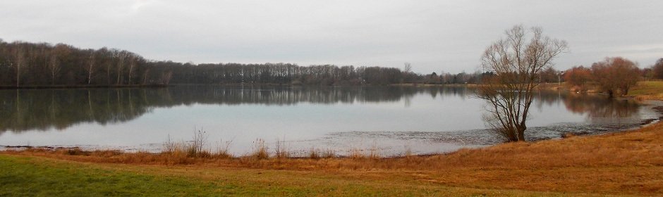 Albrechtshainer See Headmotiv