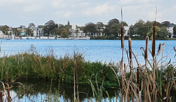 Außenalster Head