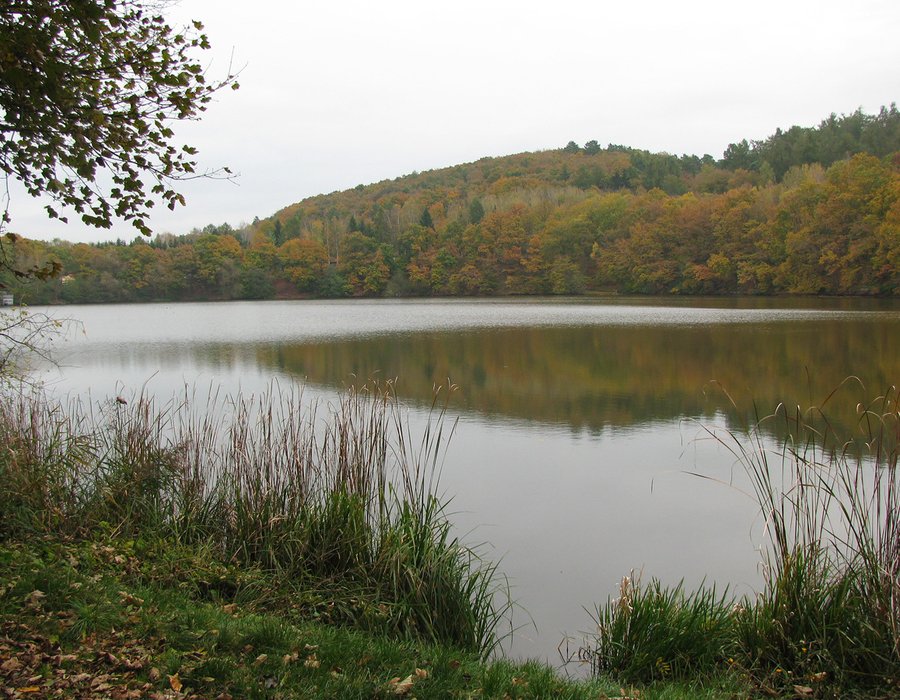 Fotos vom Vatteröder Teich Seen.de
