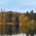 Strandbadweiher Frankenthal