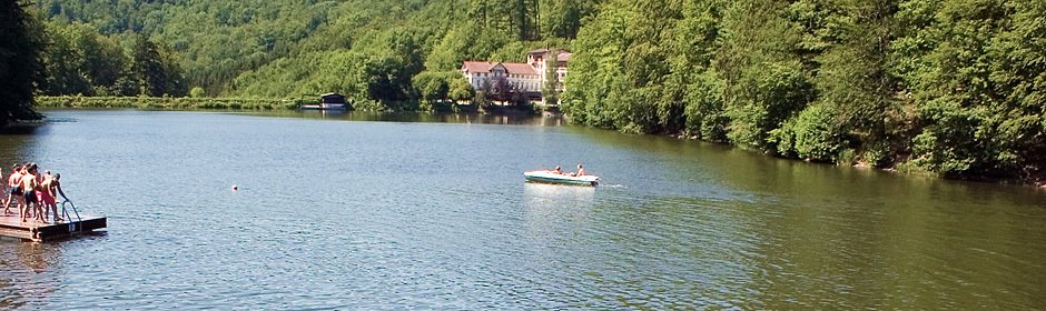 Wiesenbeker Teich Headmotiv