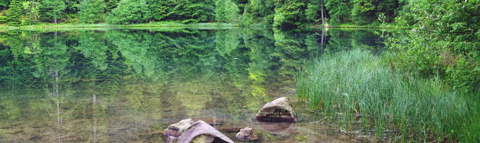 lac de la Maix Headmotiv