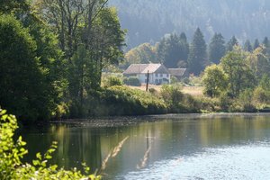 Fotos vom Étang des Dames