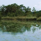 Schloßsee