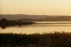 Fotos vom Galenbecker See