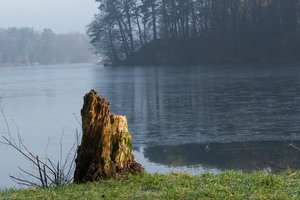 Fotos vom Zernsdorfer Lankensee