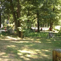 Der Groer Lausiger Teich in Priesitz - Urlaub und Freizeit