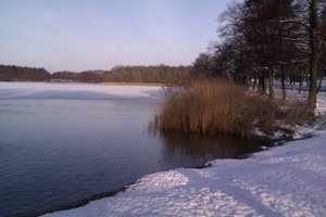 Fotos vom Großer Lausiger Teich