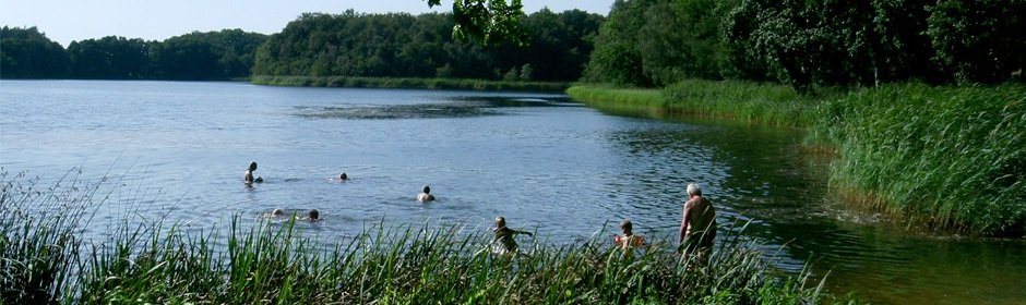 Großer Lausiger Teich Headmotiv