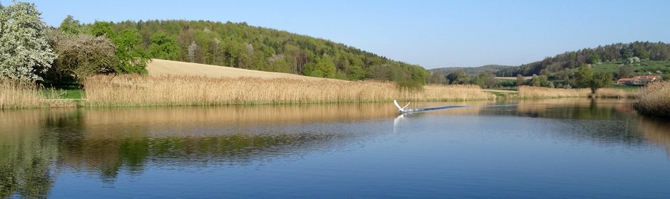 Bifangweiher Headmotiv