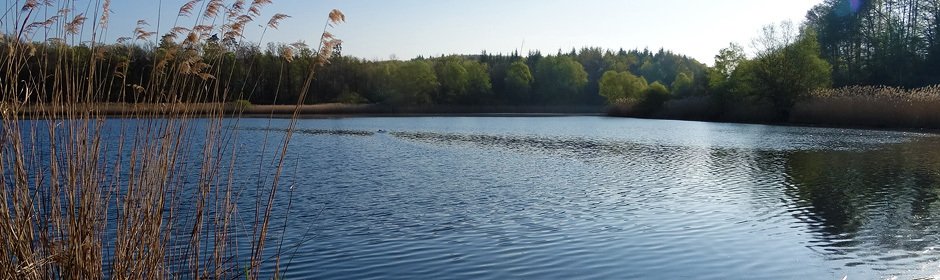 Olsenweiher Headmotiv