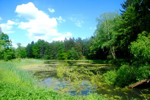 Fotos vom Jägersee