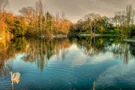 Herbststimmung am Silbersee