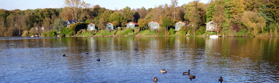 Hariksee Headmotiv